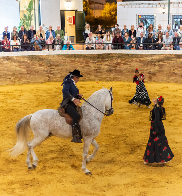 Scenic Enrich Flamenco Show, Seville