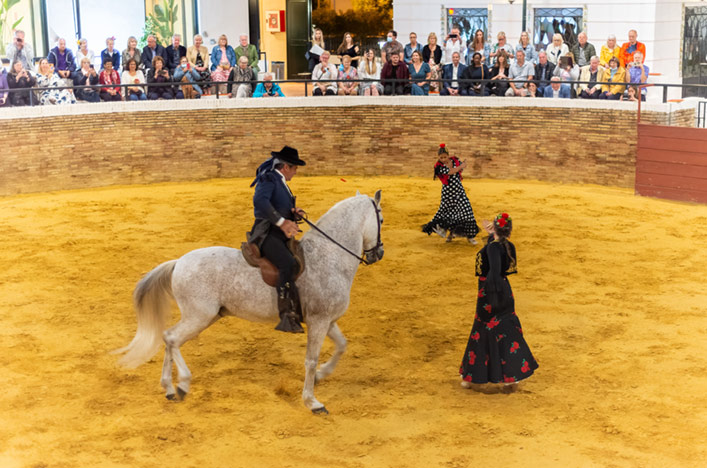 Scenic Enrich Equestrian Flamenco