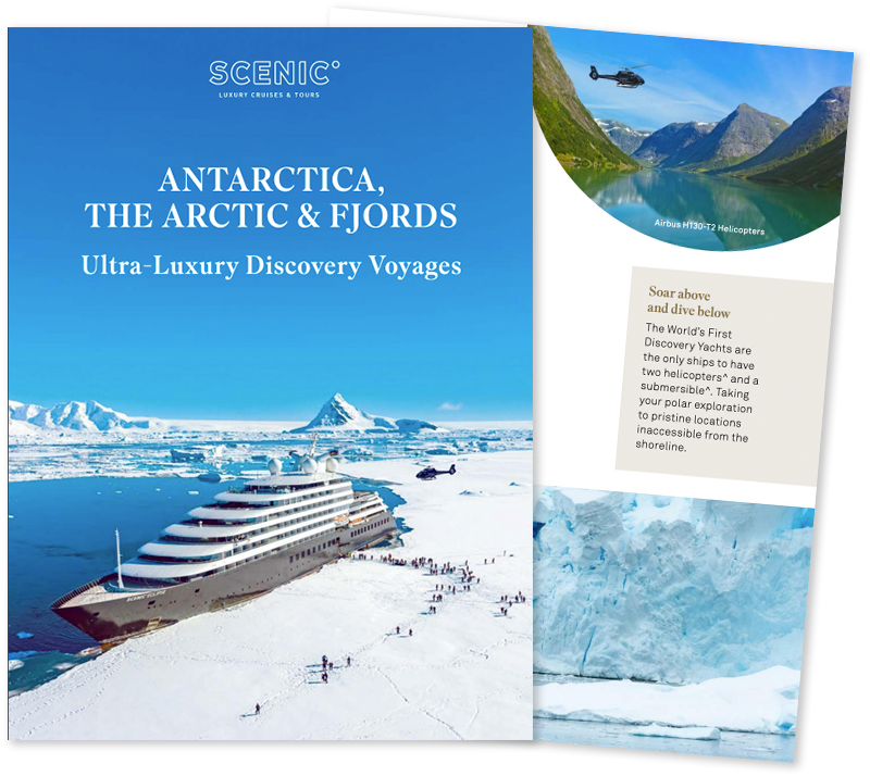Polar Regions Cruises 2024/2025 | Cruise to Antarctica - Scenic